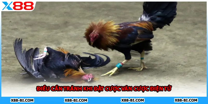 Điều cần tránh khi đặt cược ván cược điện tử